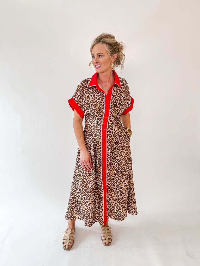 Leopard print midi dress with bright red collar and sleeve accents